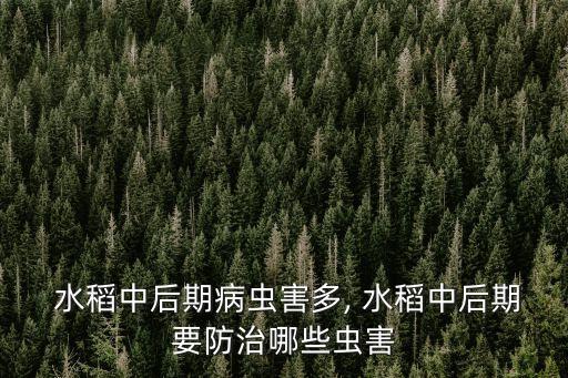 水稻稻穗出齊后打什么農藥