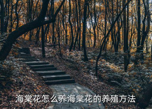 秋海棠用什么農藥來滅蟲