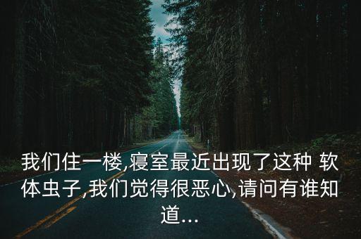 軟體蟲(chóng)用什么農(nóng)藥,青菜有蟲(chóng)打什么農(nóng)藥好