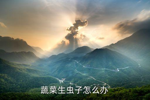 蔬菜生蟲子怎么辦