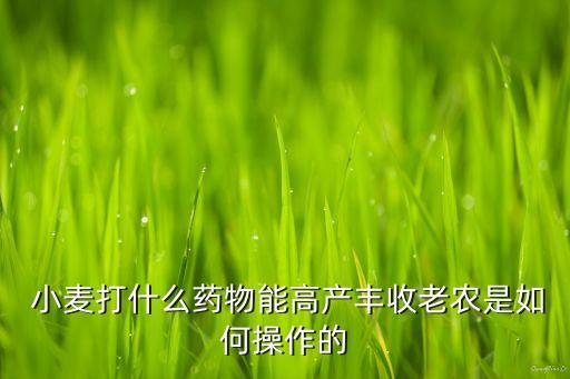  小麥打什么藥物能高產豐收老農是如何操作的