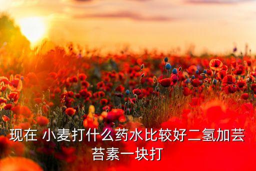 小麥用什么打農藥,什么農藥讓小麥不結粒