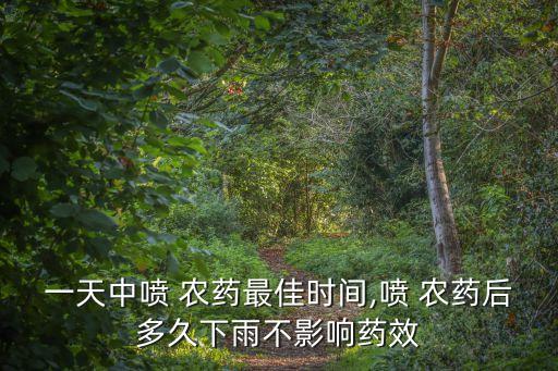 一天中噴 農藥最佳時間,噴 農藥后多久下雨不影響藥效