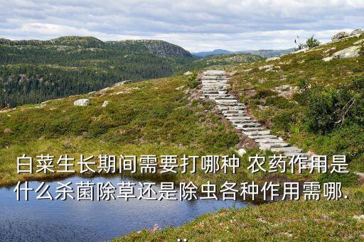 白菜生長期間需要打哪種 農藥作用是什么殺菌除草還是除蟲各種作用需哪...