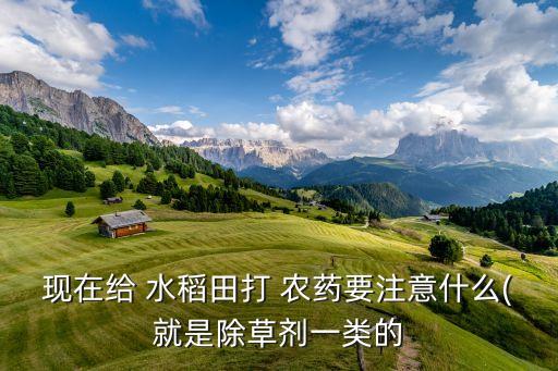 現在給 水稻田打 農藥要注意什么(就是除草劑一類的