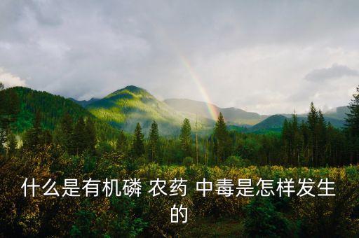 什么是有機(jī)磷 農(nóng)藥 中毒是怎樣發(fā)生的