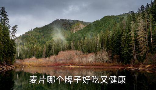 麥片哪個(gè)牌子好吃又健康