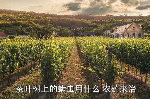  茶葉樹上的螨蟲用什么 農(nóng)藥來(lái)治