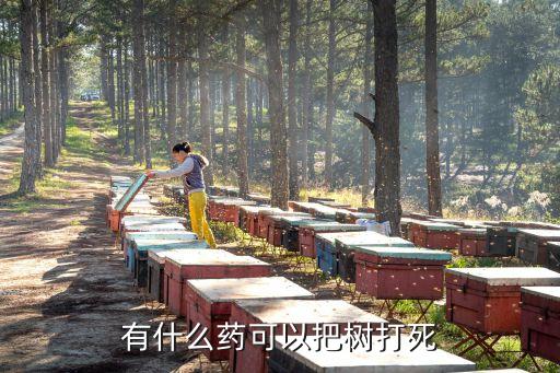 有什么藥可以把樹打死