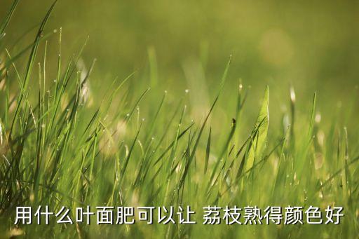 用什么葉面肥可以讓 荔枝熟得顏色好