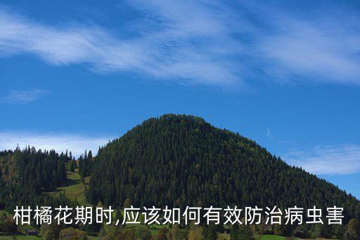 似錦農藥防什么病,大蒜素農藥防什么病