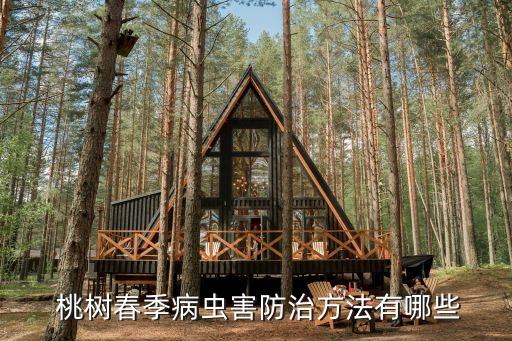 桃樹花期有蚜蟲噴什么農藥