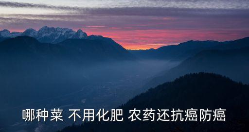 哪種菜 不用化肥 農(nóng)藥還抗癌防癌