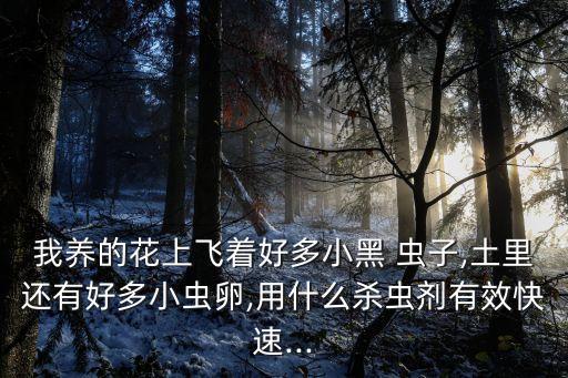 什么農藥能殺死蟲子卵,葉片上的蟲子用什么農藥