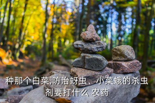 雪草打什么農藥,殺節節草用什么農藥