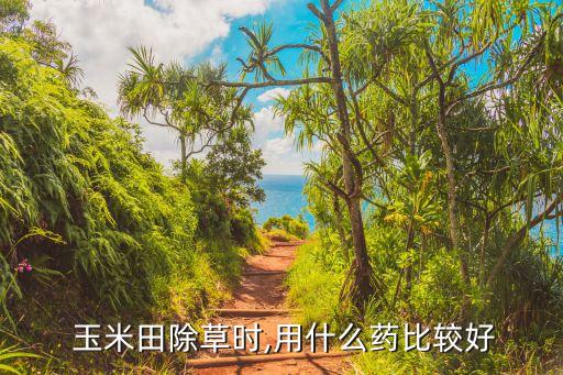 夏天玉米打什么農藥好使,玉米種下后需要噴什么農藥