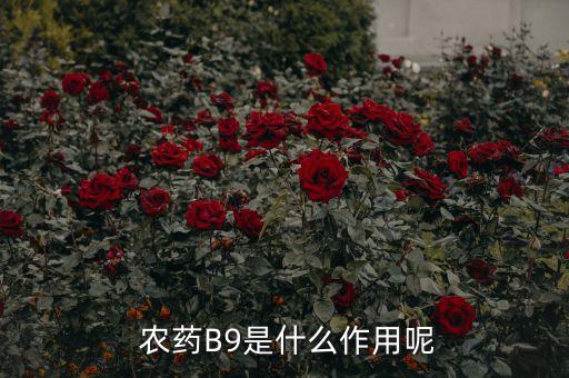 阿巴丁農(nóng)藥有什么功效