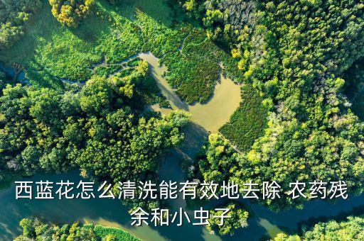 西蘭花打什么農藥好吃啊