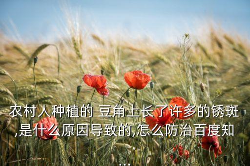 農村人種植的 豆角上長了許多的銹斑,是什么原因導致的,怎么防治百度知...