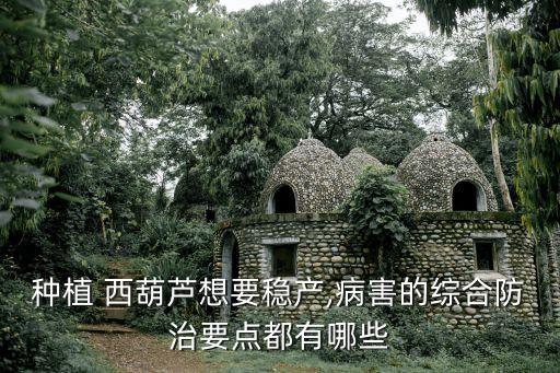 西葫蘆用什么農藥封閉,農藥封閉藥什么時間打合適