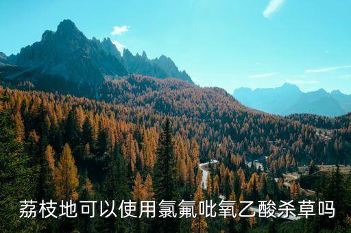 荔枝幼樹噴什么農藥,荔枝什么時候噴農藥比較好