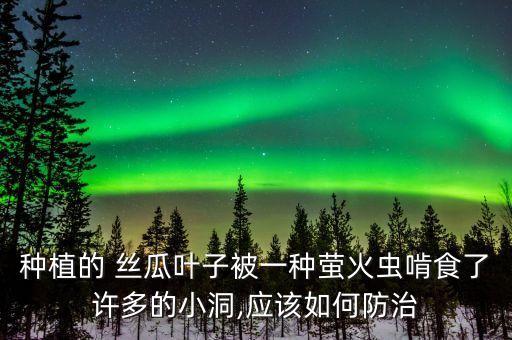 絲瓜葉病用什么農藥,絲瓜打什么農藥最好