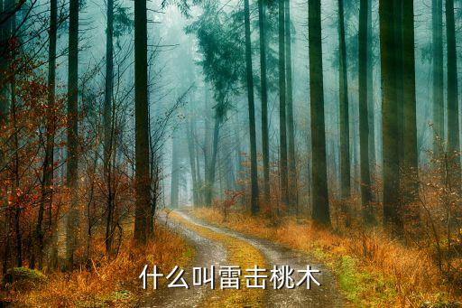 什么叫雷擊桃木
