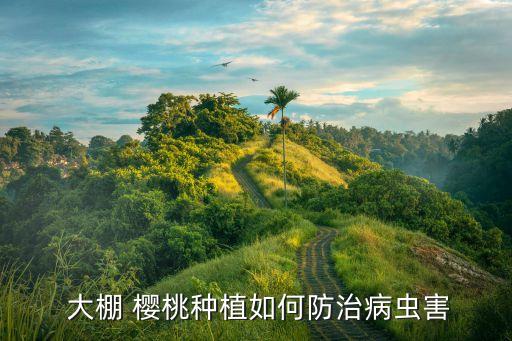  大棚 櫻桃種植如何防治病蟲害