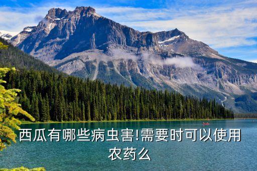  西瓜有哪些病蟲害!需要時可以使用 農藥么