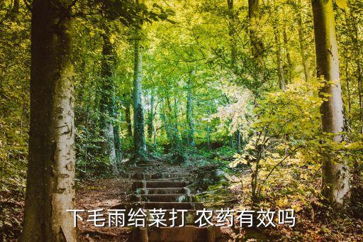 下毛雨給菜打 農(nóng)藥有效嗎