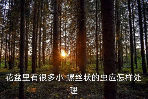 花盆里有很多小 螺絲狀的蟲應怎樣處理