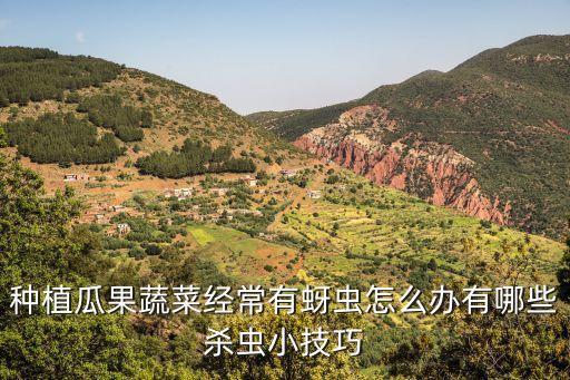 種菜加什么農藥防蟲好用,種菜不打農藥怎樣防蟲