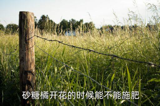 6月砂糖橘用什么農(nóng)藥,廣西砂糖橘產(chǎn)在什么地方
