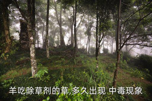 羊農藥中毒了有什么癥狀,農藥中毒有什么癥狀,怎么緩解
