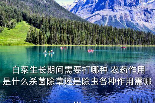 白菜長蟲打什么農藥,白菜一般打什么農藥