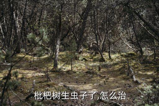  枇杷樹生蟲子了,怎么治