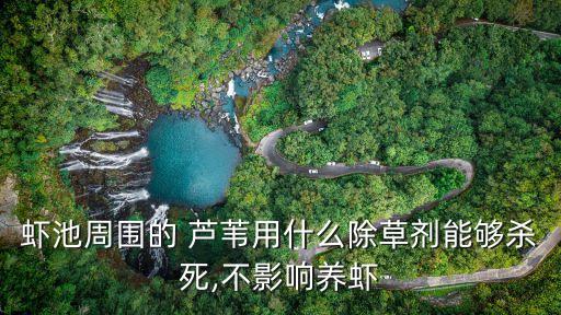 蝦池周圍的 蘆葦用什么除草劑能夠殺死,不影響養蝦