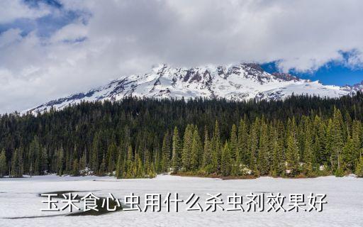 玉米有蟲子打什么農藥,玉米上的黑色蟲子叫什么