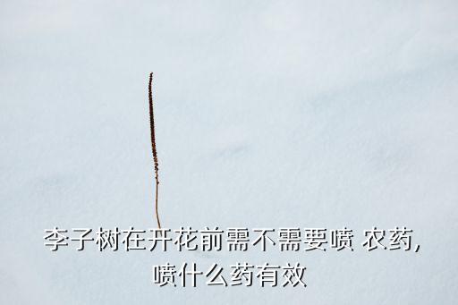 李子樹五月打什么農(nóng)藥