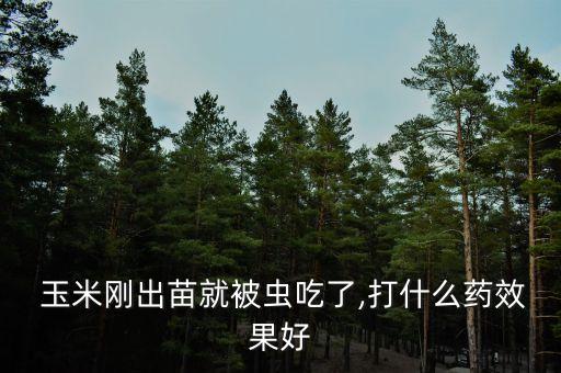  玉米剛出苗就被蟲吃了,打什么藥效果好
