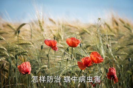 用什么農(nóng)藥能治蝸牛蟲,什么農(nóng)藥殺蝸牛效果好