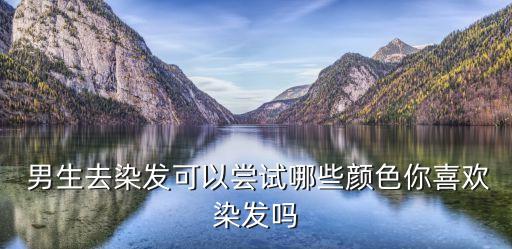  男生去染發(fā)可以嘗試哪些顏色你喜歡染發(fā)嗎