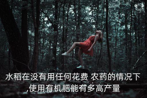 水稻在沒有用任何花費 農藥的情況下,使用有機肥能有多高產量