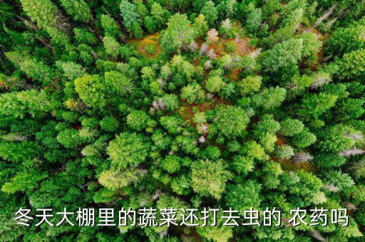 冬天大棚里的蔬菜還打去蟲的 農藥嗎