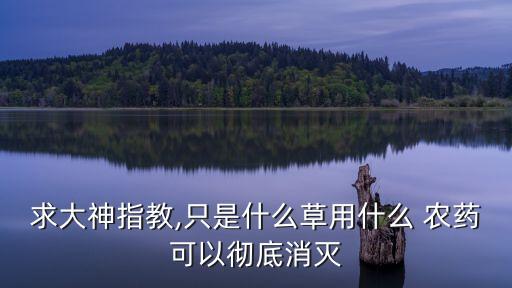 莊稼去草用什么農藥,用什么農藥可以不長莊稼