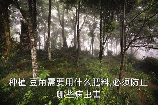 種植 豆角需要用什么肥料,必須防止哪些病蟲害