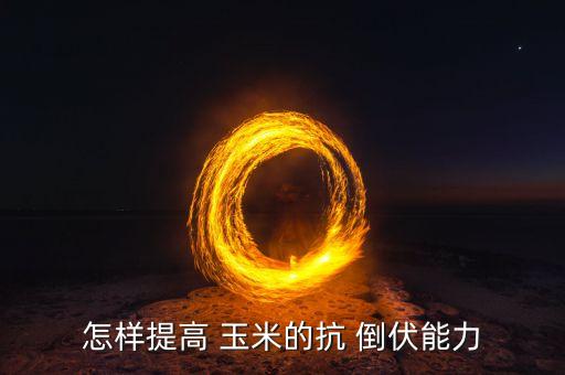 什么農藥玉米倒伏,玉米倒伏是因為缺什么