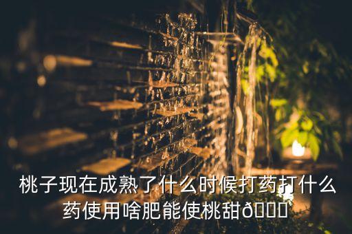  桃子現(xiàn)在成熟了什么時候打藥打什么藥使用啥肥能使桃甜?