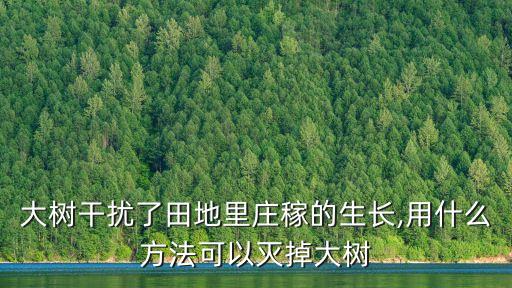大樹干擾了田地里莊稼的生長,用什么方法可以滅掉大樹