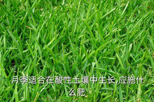  月季適合在酸性土壤中生長,應(yīng)施什么肥